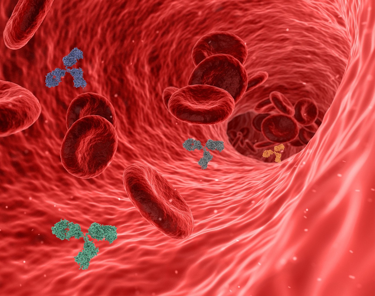 entdecken sie, wie das immunsystem funktioniert, welche rolle es beim schutz des körpers spielt und wie sie ihre abwehrkräfte natürlich stärken können. tipps, funktionen und nützliche informationen rund um das immunsystem.