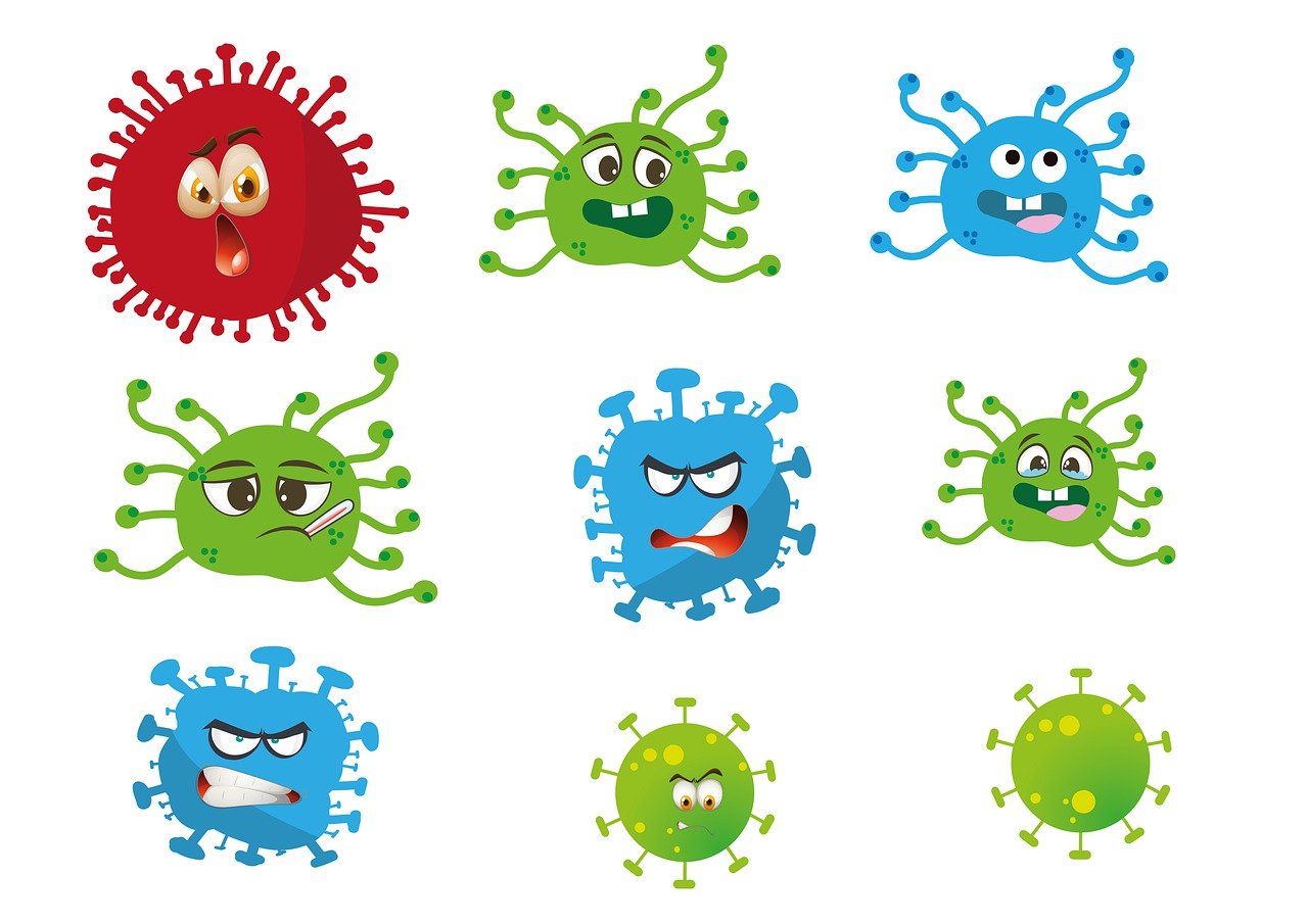 erfahren sie alles über das immunsystem: aufbau, funktion und wie sie ihre abwehrkräfte stärken können. entdecken sie hilfreiche tipps zur unterstützung ihrer gesundheit.