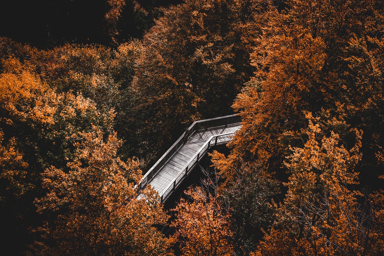 erleben sie die kraft der achtsamkeit: entdecken sie tipps, übungen und hintergrundwissen, um stress zu reduzieren und mehr innere ruhe in ihren alltag zu bringen. starten sie jetzt mit mindfulness!