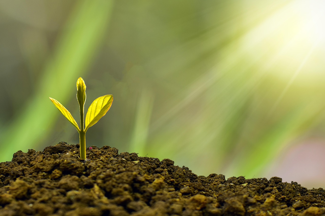 entdecken sie alles rund um investment: tipps, strategien und trends für erfolgreiches anlegen. erfahren sie, wie sie ihr vermögen gezielt und sicher investieren können.