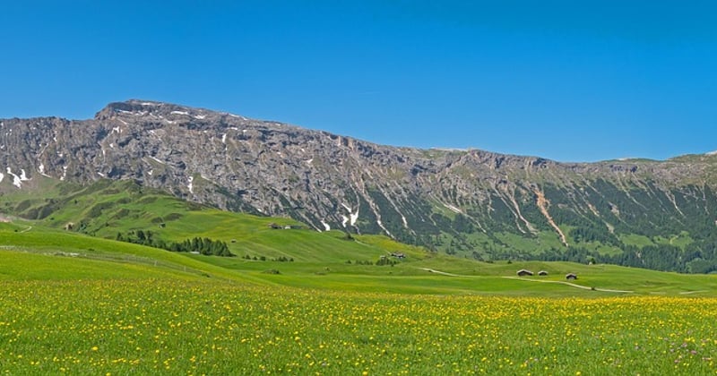 Schlern erleben: Die schönsten Wanderwege & Aussichten