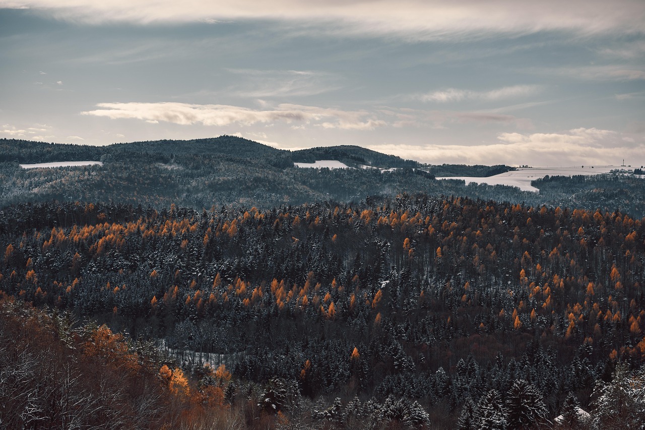 Welche Temperatur zerstört den Geschmack jeder Speise?
