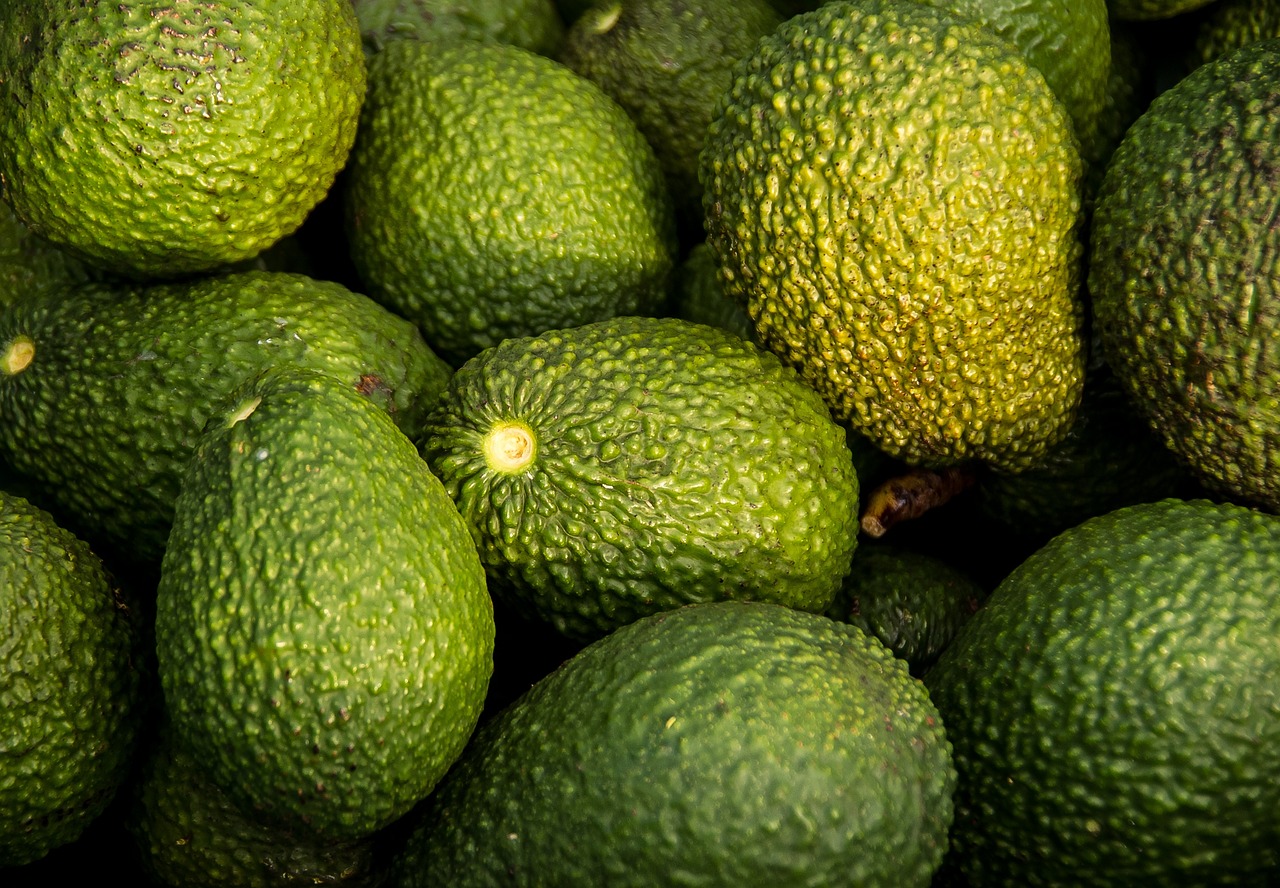 entdecken sie die welt der superfoods: gesunde lebensmittel, die reich an nährstoffen sind und ihr wohlbefinden fördern. erfahren sie mehr über vorteile, anwendung und rezepte.